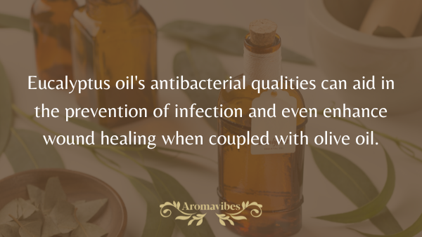 eucalyptus oil antibacterial benefits