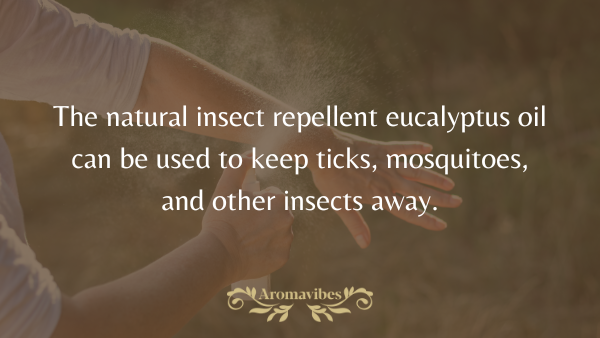 eucalyptus oil as an insect repellent