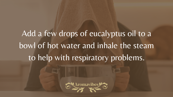 eucalyptus oil uses