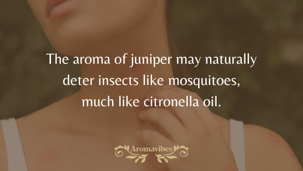 juniper berry benefits