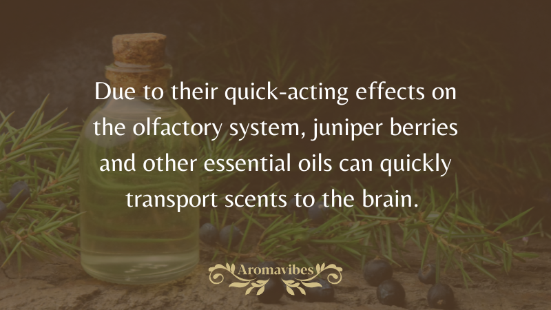 juniper berry essential oil uses