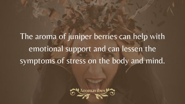 juniper berries aroma benefits