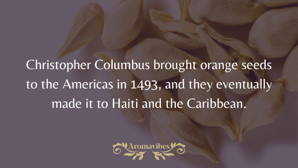 history of orange