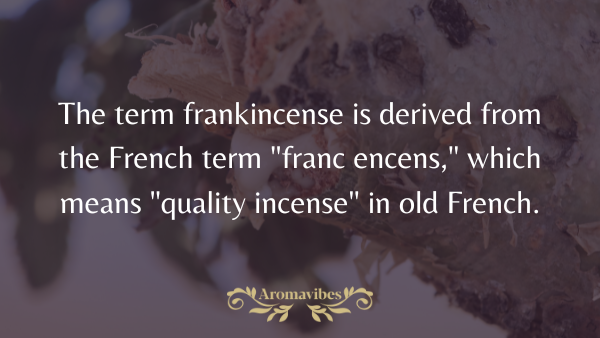 frankincense term