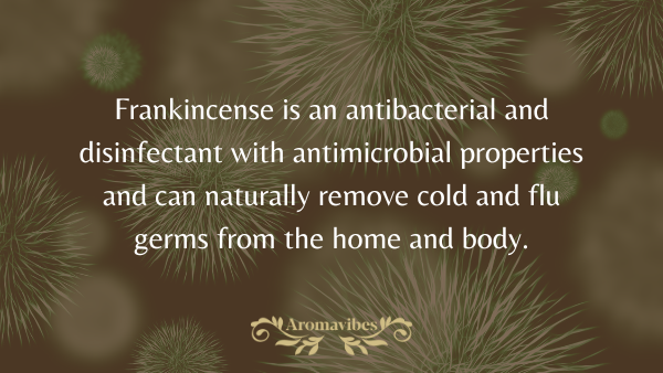 frankincense oil antibacterial activity